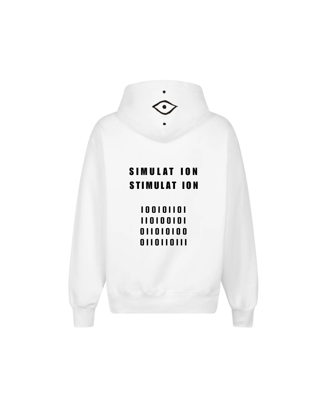 Month 1 Update — Internal Progress Log